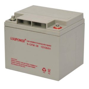 萊力蓄電池6-GFM-1.2